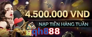 qh888